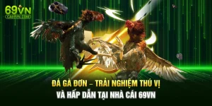 Đá Gà Đơn – Trải Nghiệm Thú Vị Và Hấp Dẫn Tại Nhà Cái 69VN